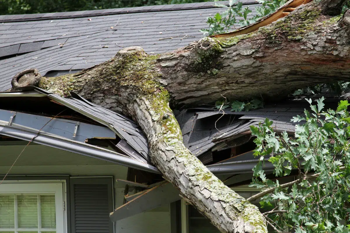 Roof Damage from a Storm