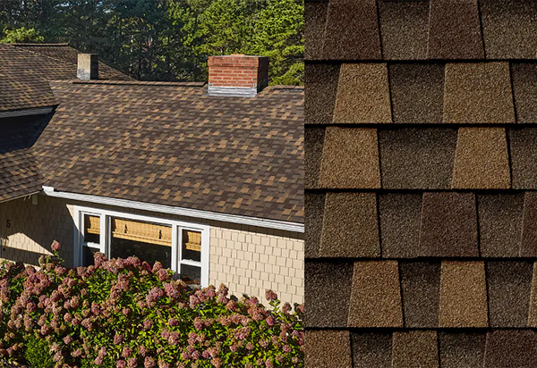 Hdz timberline chestnut valley masthead